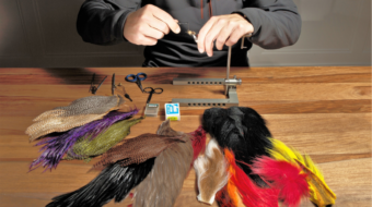 Romandie Fishing Rédaction web